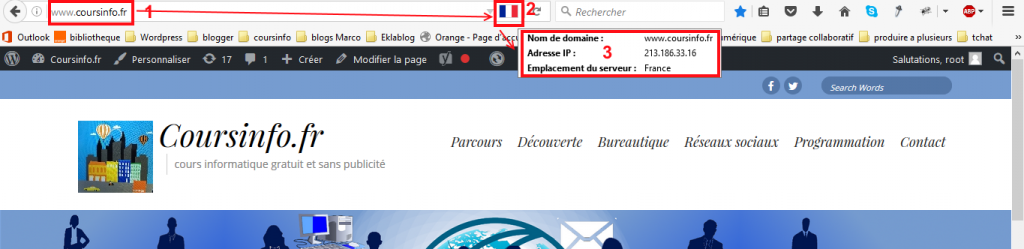 Quelle est l'adresse IP d'un site web